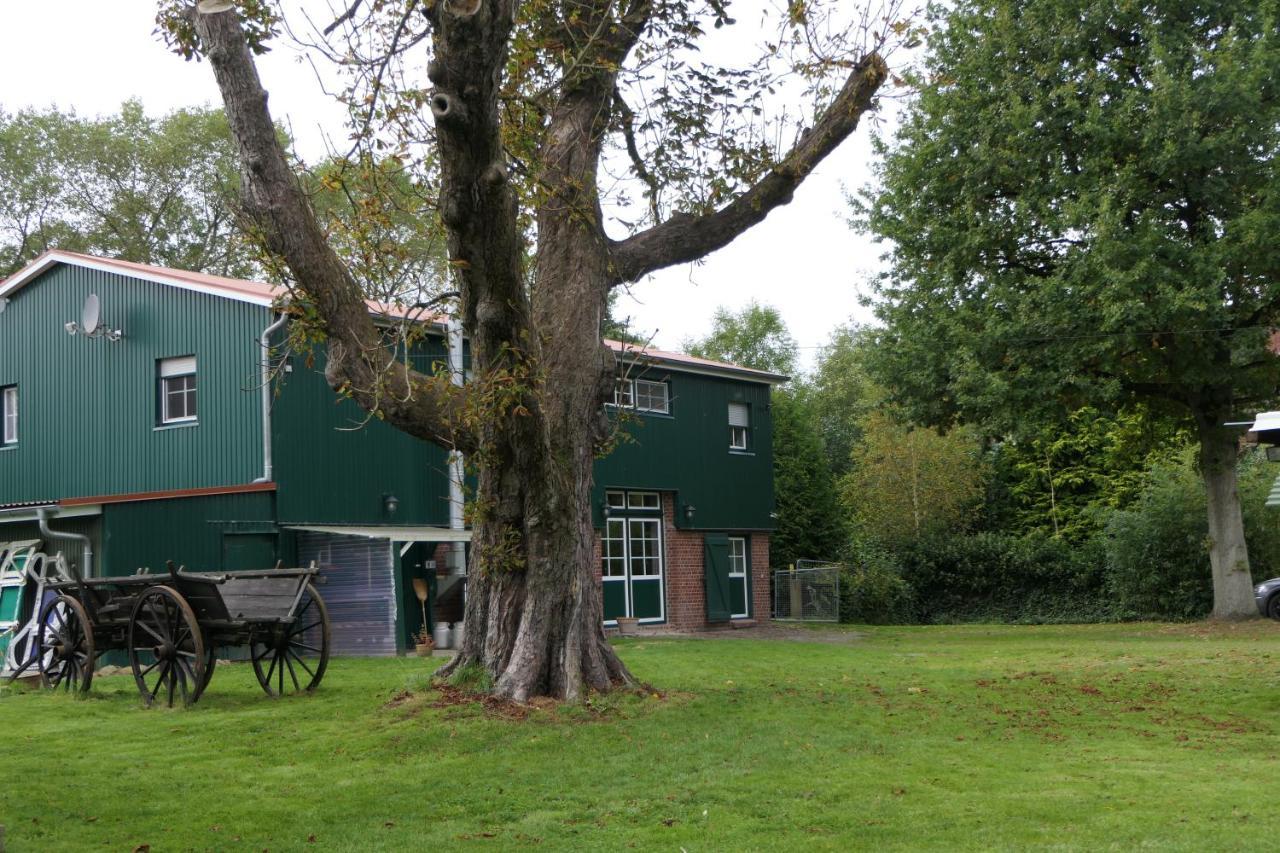Ferienwohnung Weideglueck Osten Exterior foto