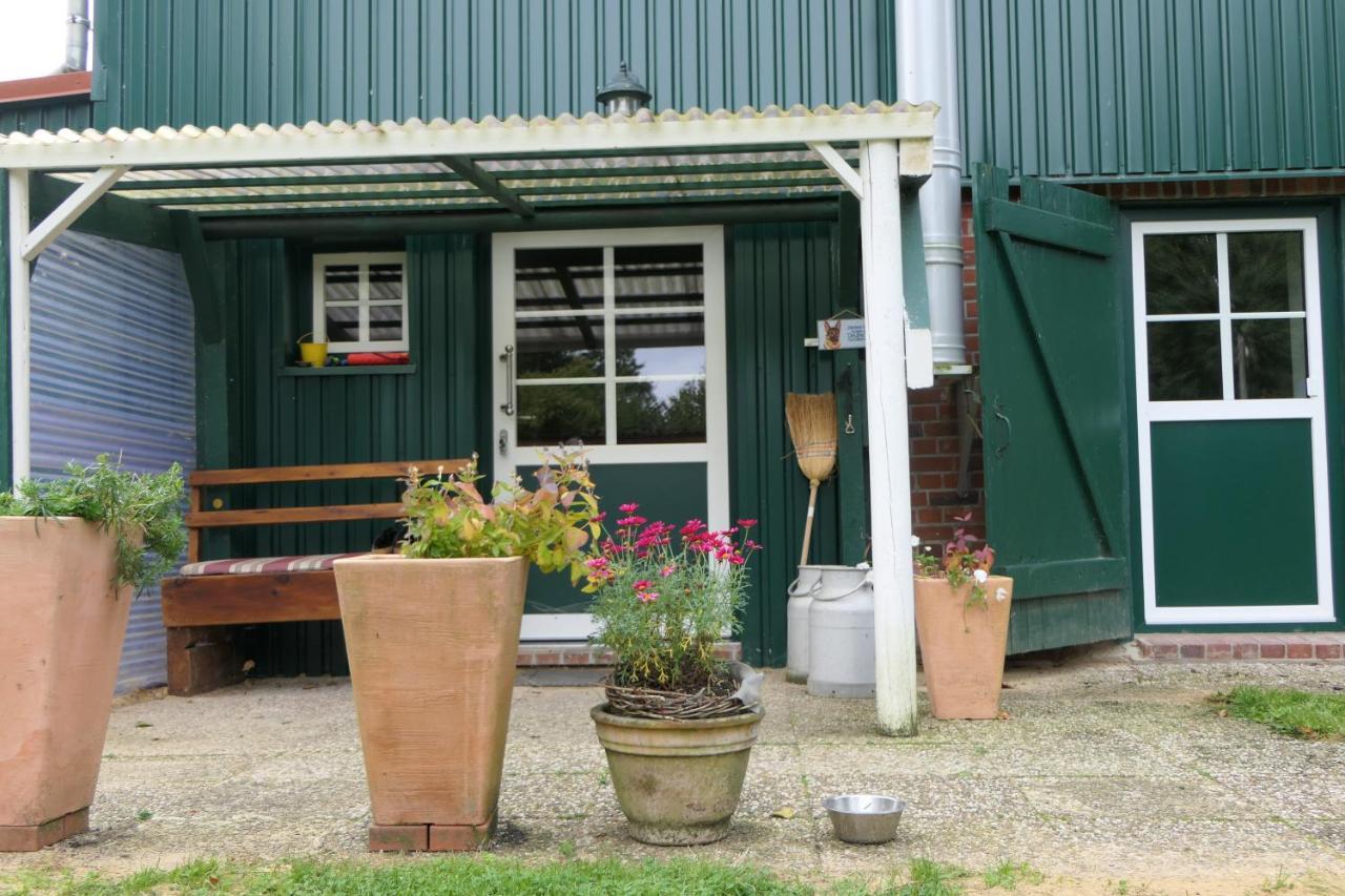 Ferienwohnung Weideglueck Osten Exterior foto